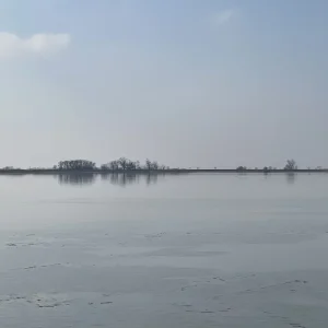 4AFFD0FF-52BE-4D82-8D70-9EF6A8B9C385.jpeg