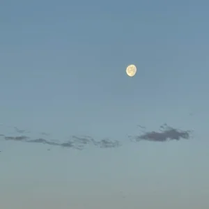 EA82970F-7F5E-41DB-B4C0-7F97C10AD70D.jpeg