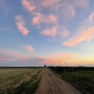 C4FF4F37-391A-4AF7-95C5-49A27744ED42.jpeg