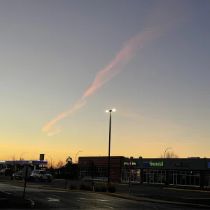 322DCB31-722E-4A98-BDE4-3F9F2B7DFBE9.jpeg