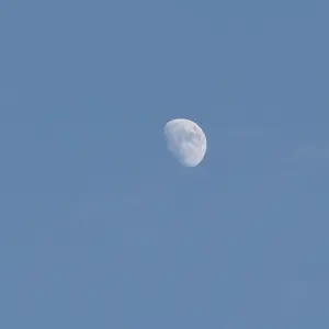 IMG_9427.webp