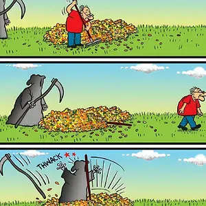 df496ce7-f2e2-4a98-b37c-7556c53c6874.webp
