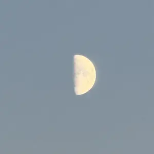 IMG_0215.webp