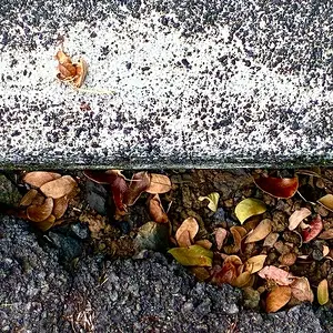 Media 'IMG_1010.webp' in category 'iPhone 16'