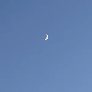 IMG_3060.jpeg