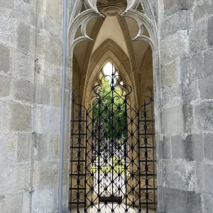 IMG_5302.jpeg