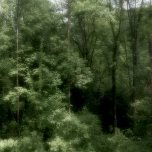 3AADAB34-A0C5-4540-8D09-EA7CC8C9AE43.jpeg