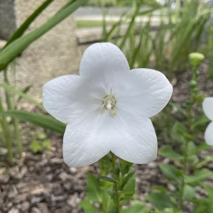 IMG_6140.jpeg