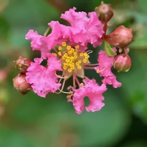 IMG_2797.jpeg