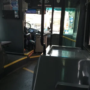 image.jpeg