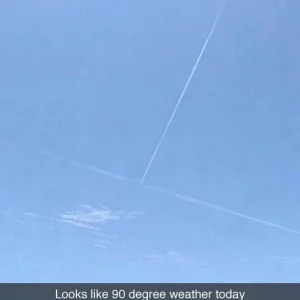 image.jpeg