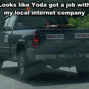 image.jpeg