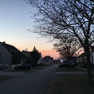 image.jpeg