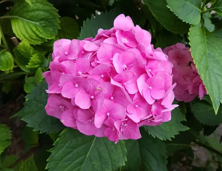 20180621_214530.jpeg