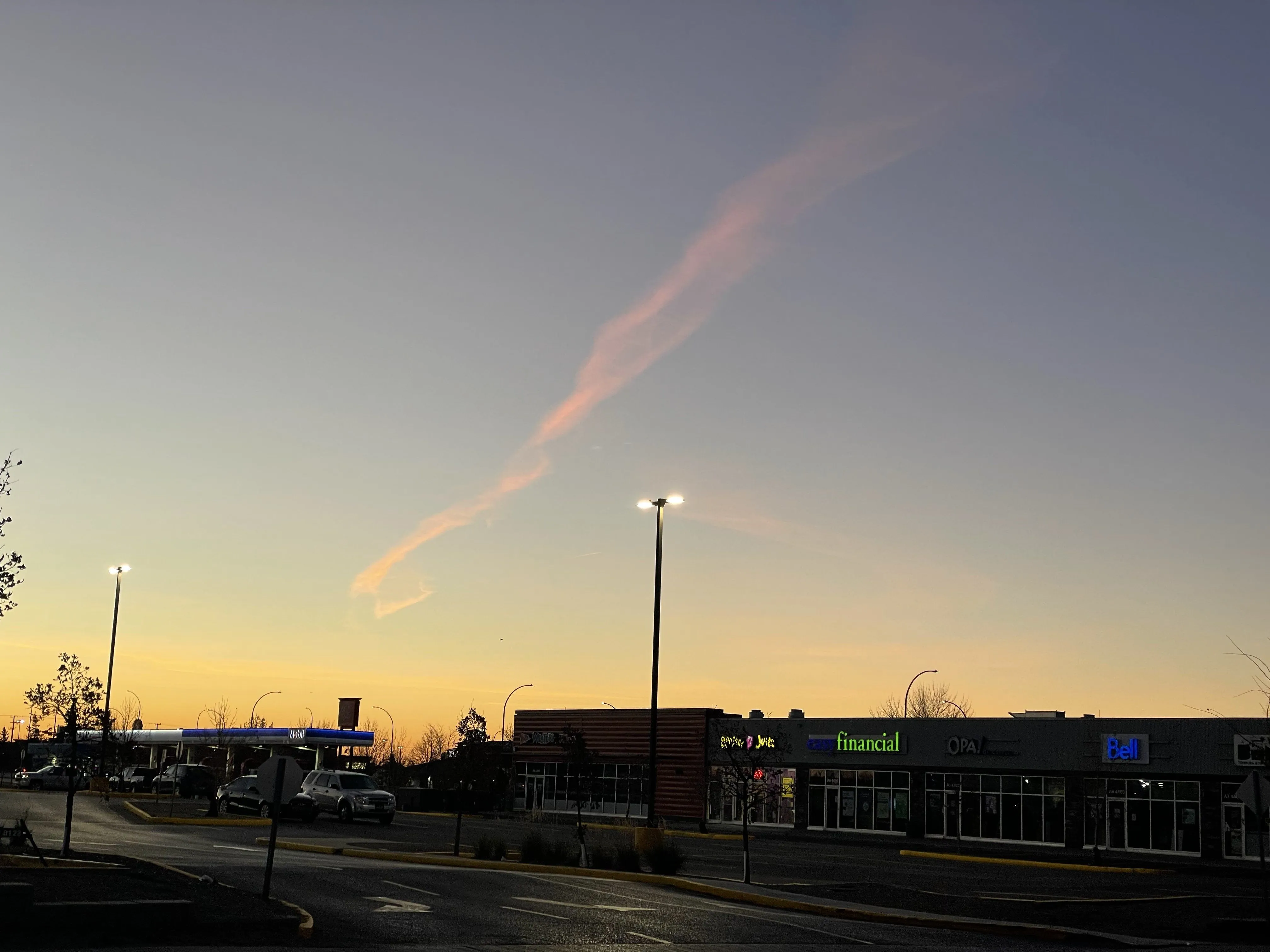 322DCB31-722E-4A98-BDE4-3F9F2B7DFBE9.jpeg