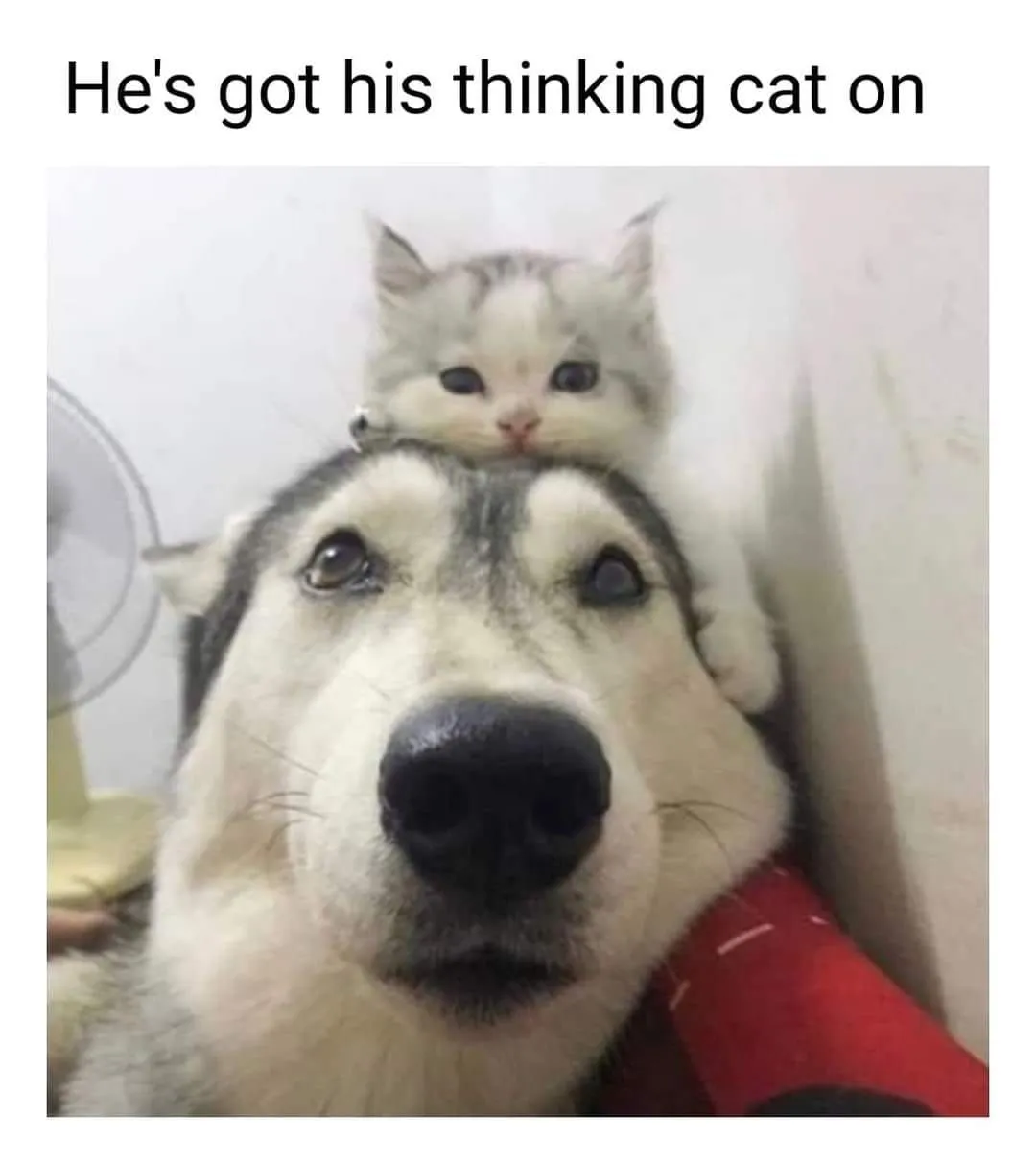 38E1EE5E-83A9-4D1C-A8F3-34EA0C187D84.jpeg
