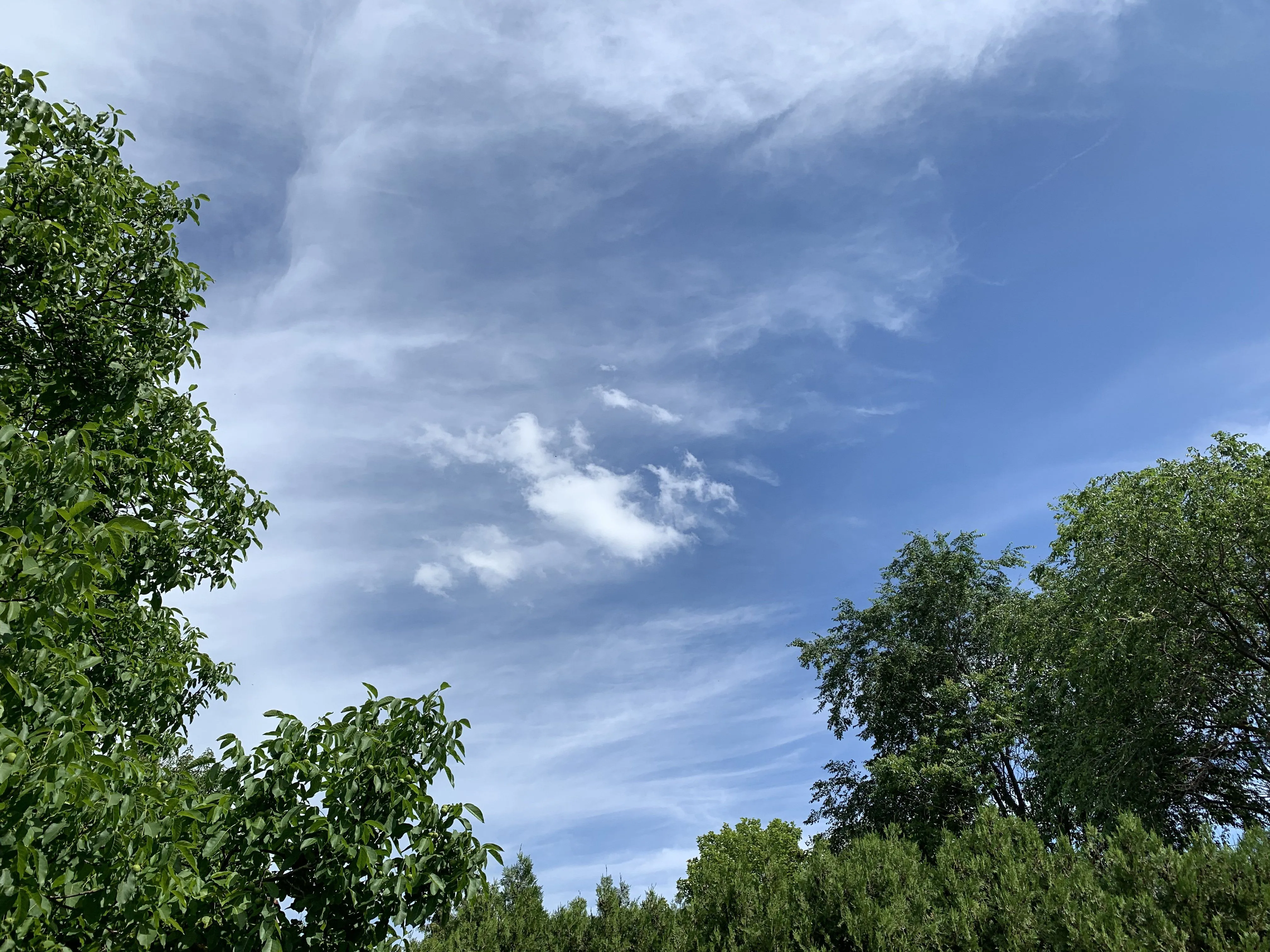 3B0E0D24-C9E2-40B0-85A5-8A2E019E6C90.jpeg