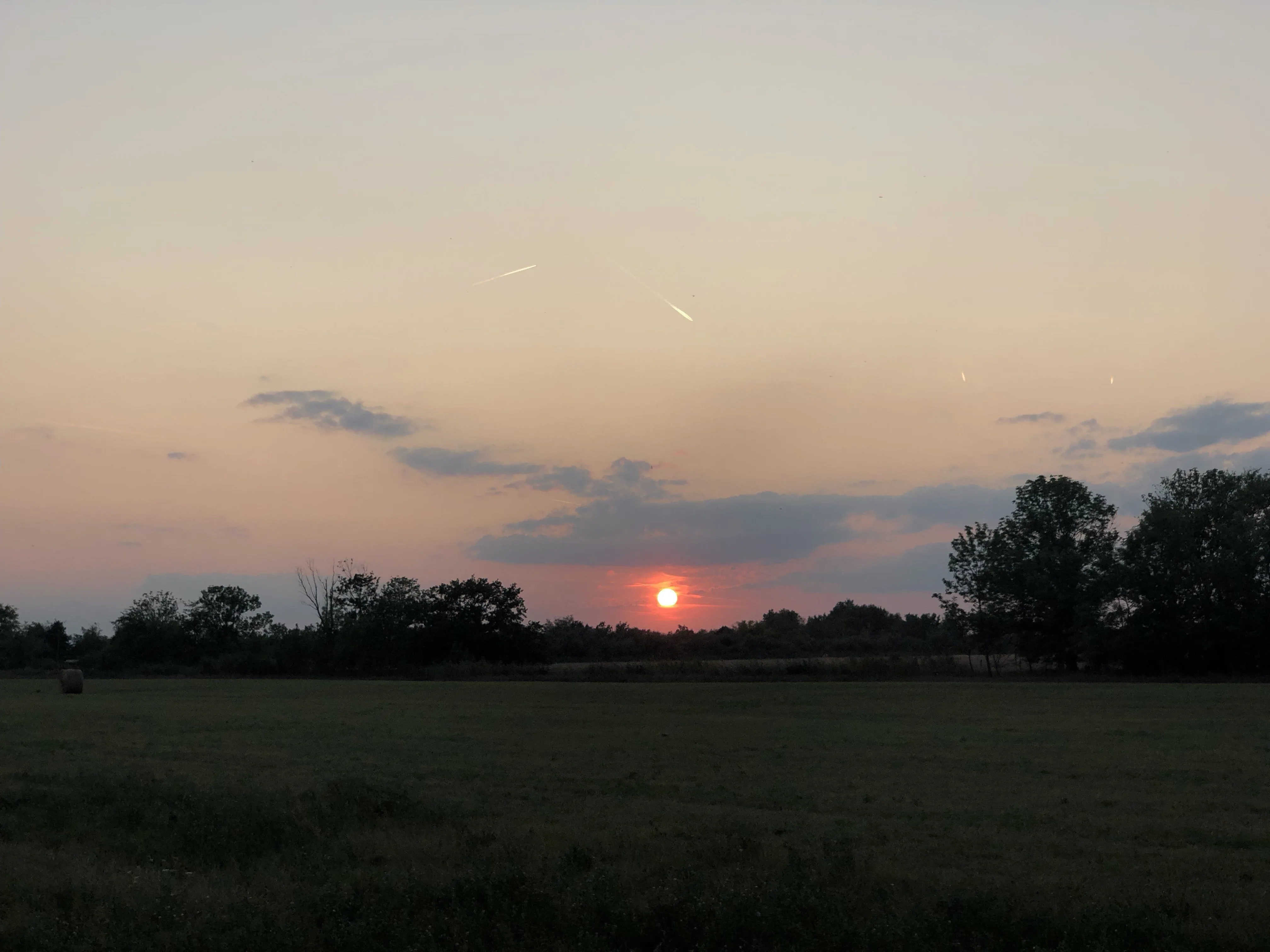 3DE435DB-6C2A-466F-BD0A-AA46E0237E03.jpeg