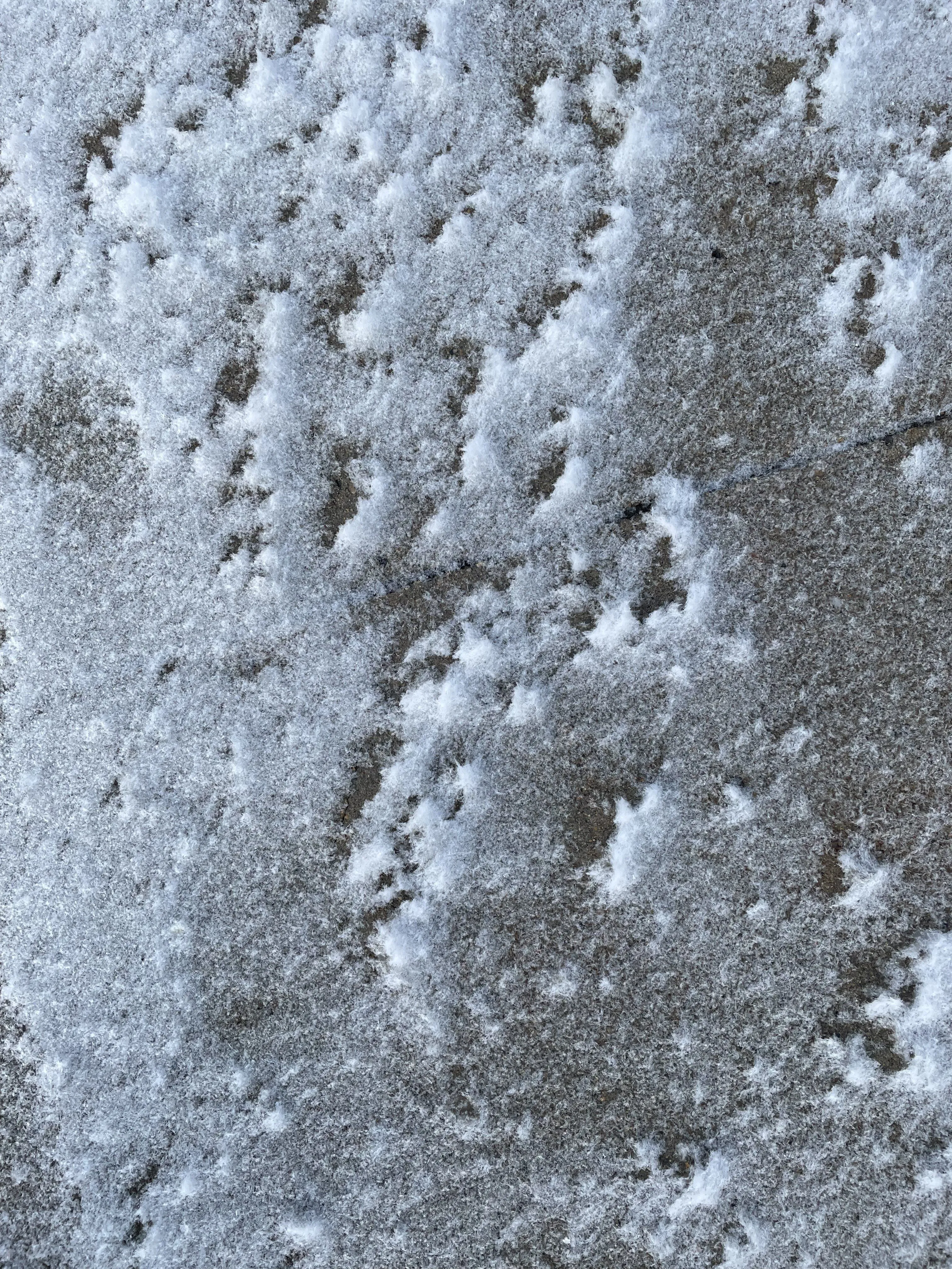 63530F00-F58C-42DD-8123-9E0A7D6D1980.jpeg