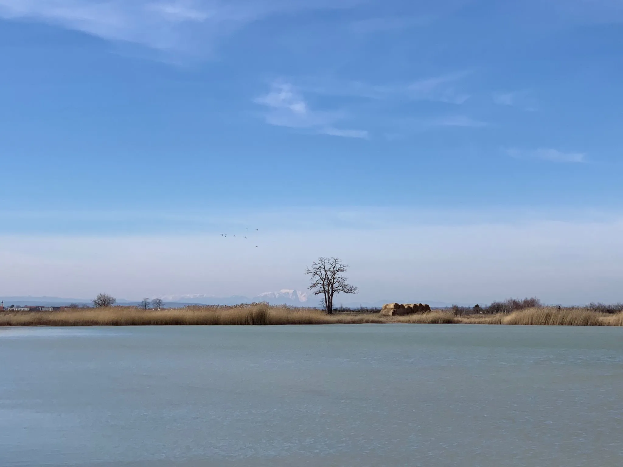 7D41A9DF-6B35-4B52-85D5-C29238680834.jpeg