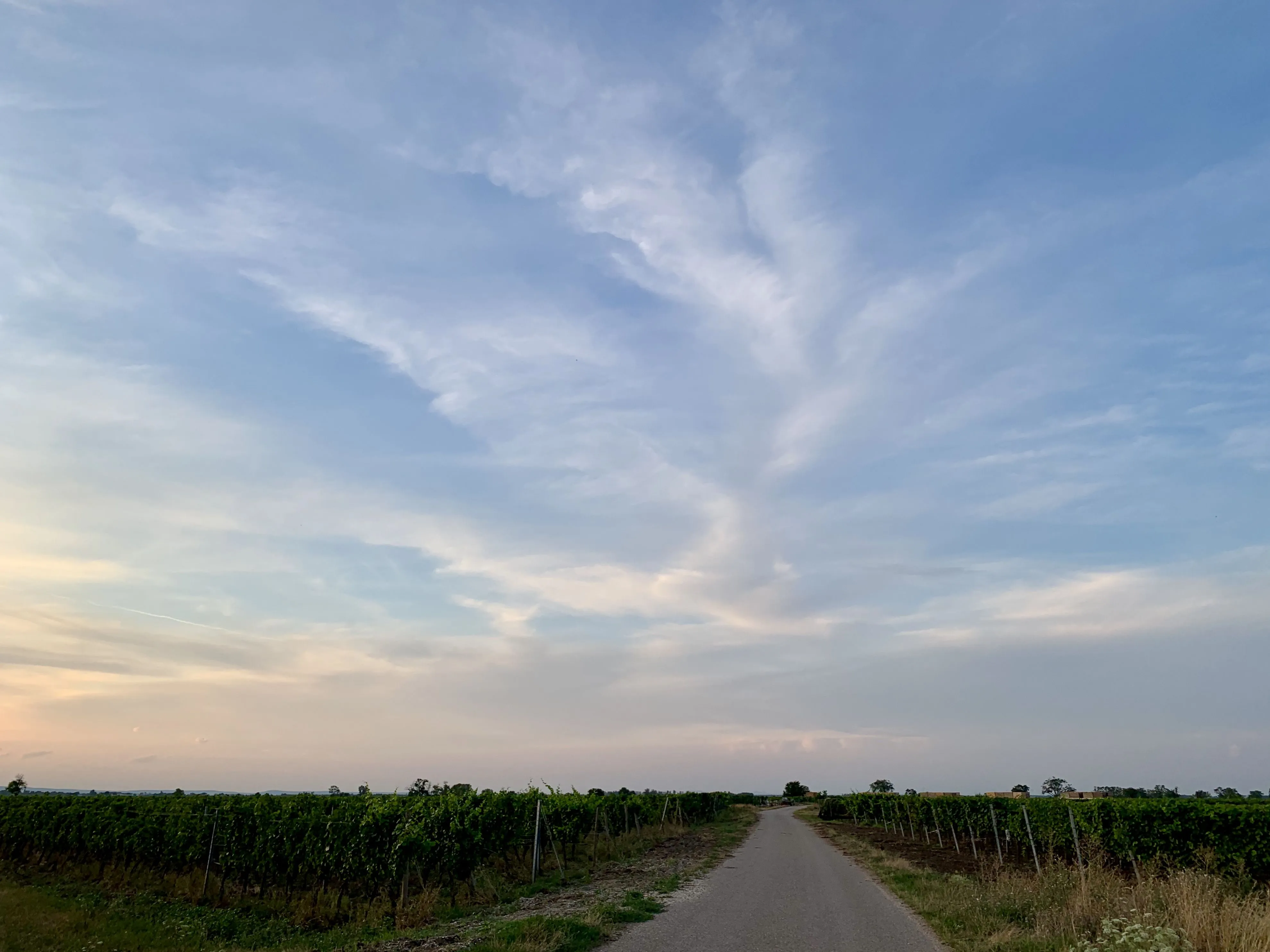 90084C59-A556-417E-ACA7-D34CD8E146F4.jpeg