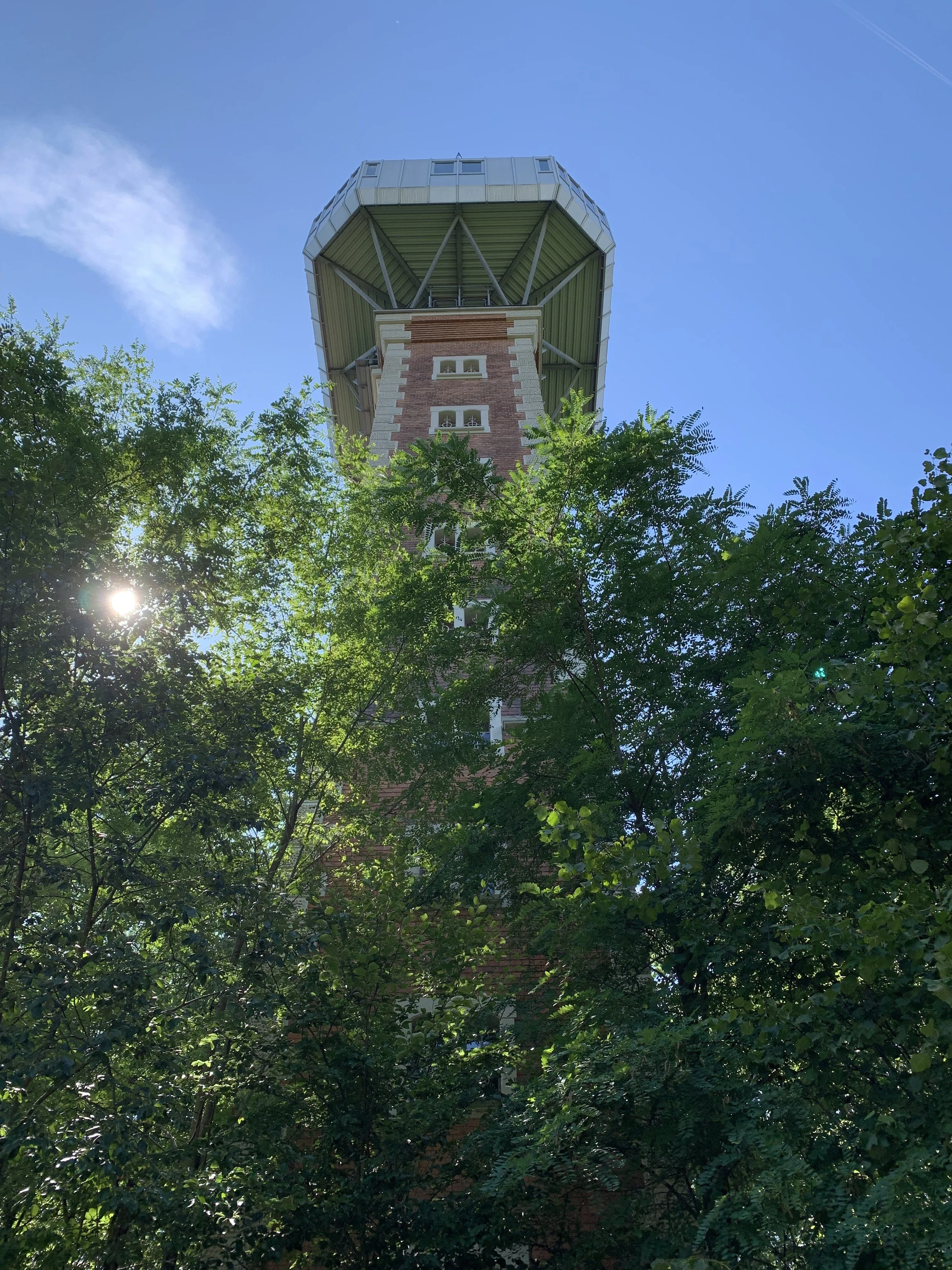 B0B47809-588A-4914-B811-2BBD3C319BA1.jpeg