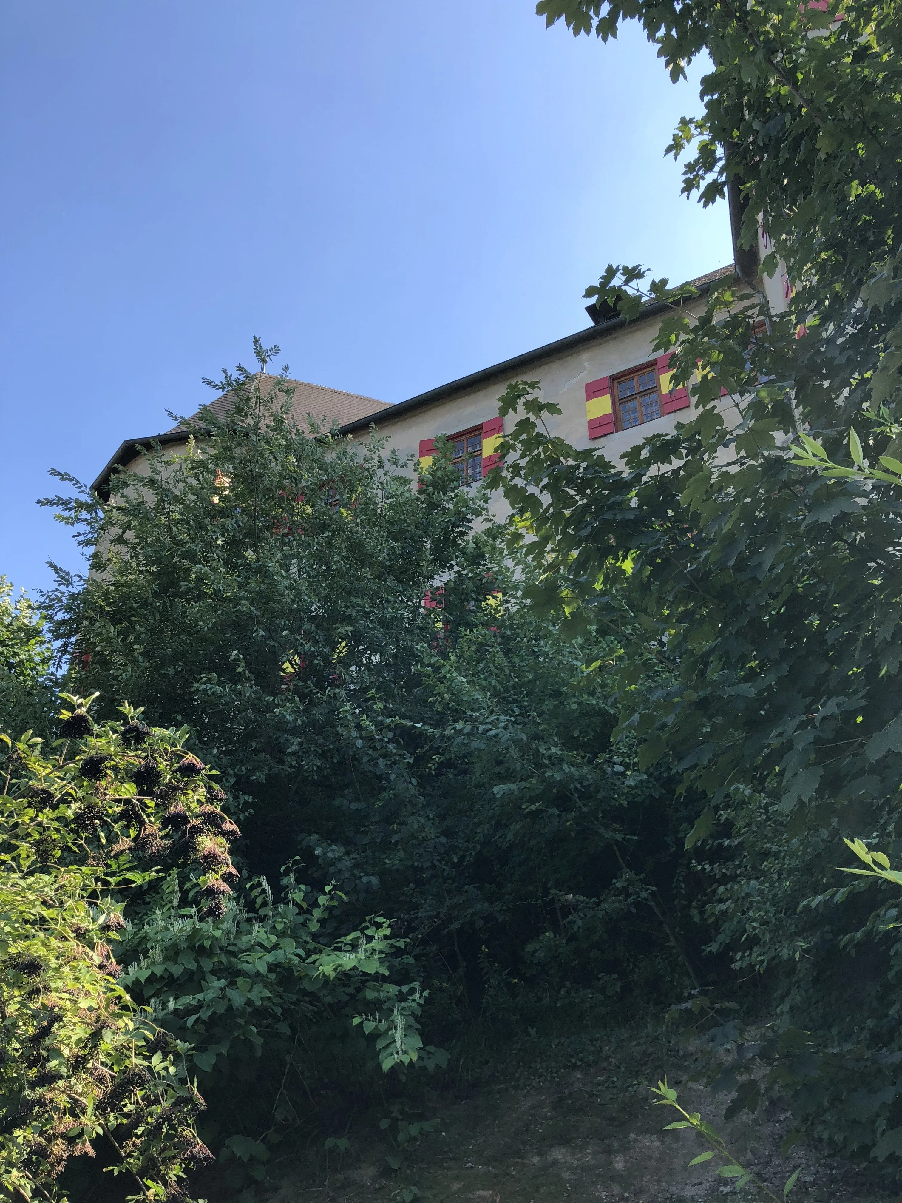 B17AB592-3628-43B2-9546-026296D1877D.jpeg