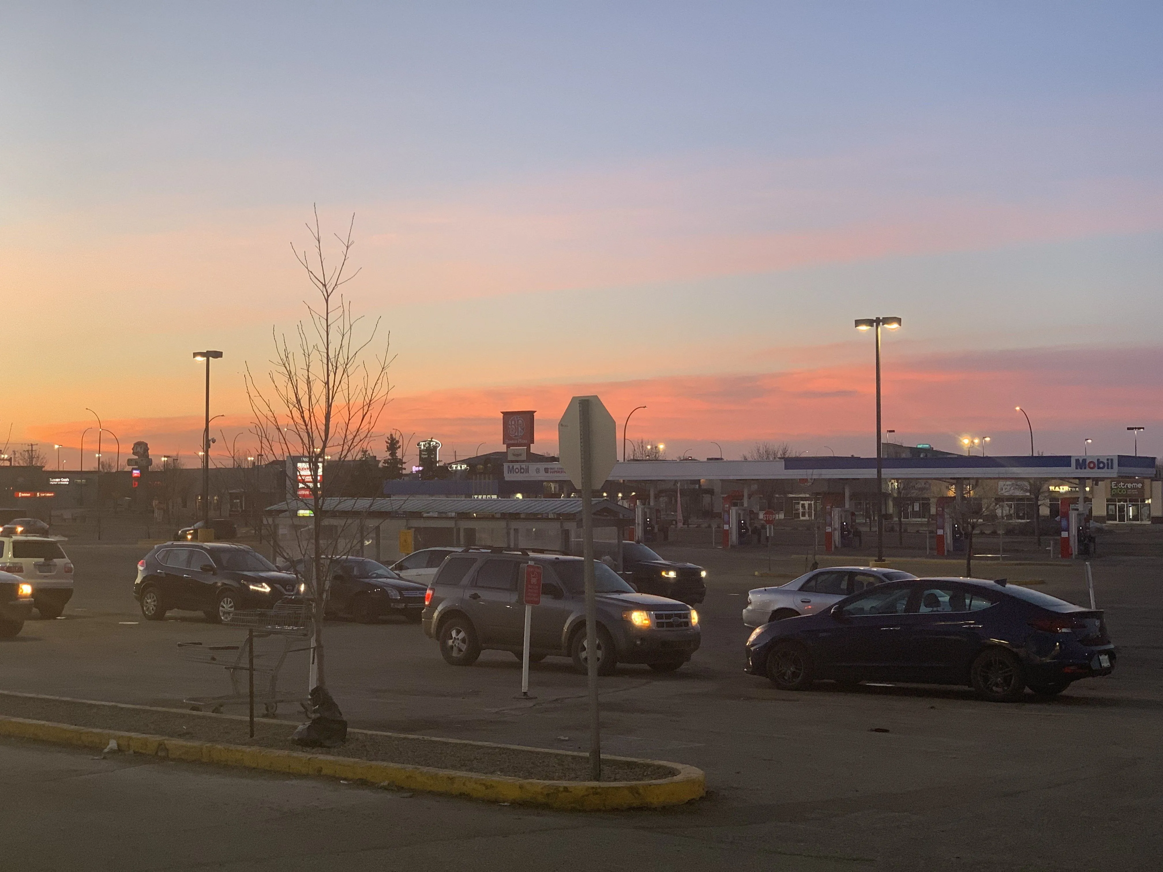 B7F0063F-7333-413B-87A2-41006A4A260E.jpeg