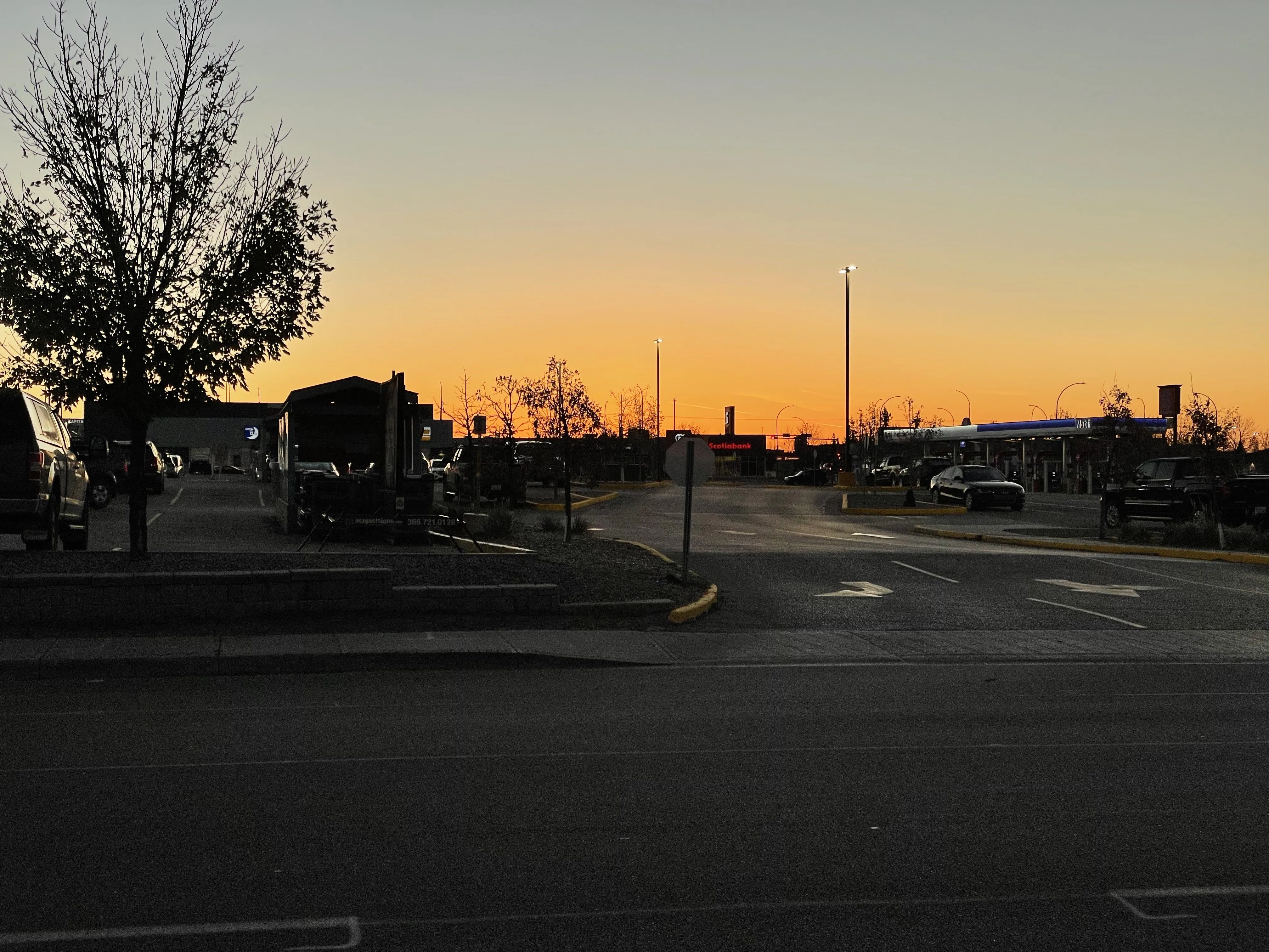 D894956C-E8ED-4688-9F1D-EAC379D768A4.jpeg