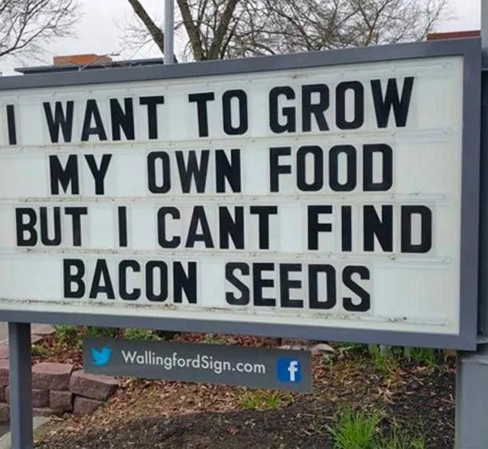 funny_gas_station_signs_featured.jpeg