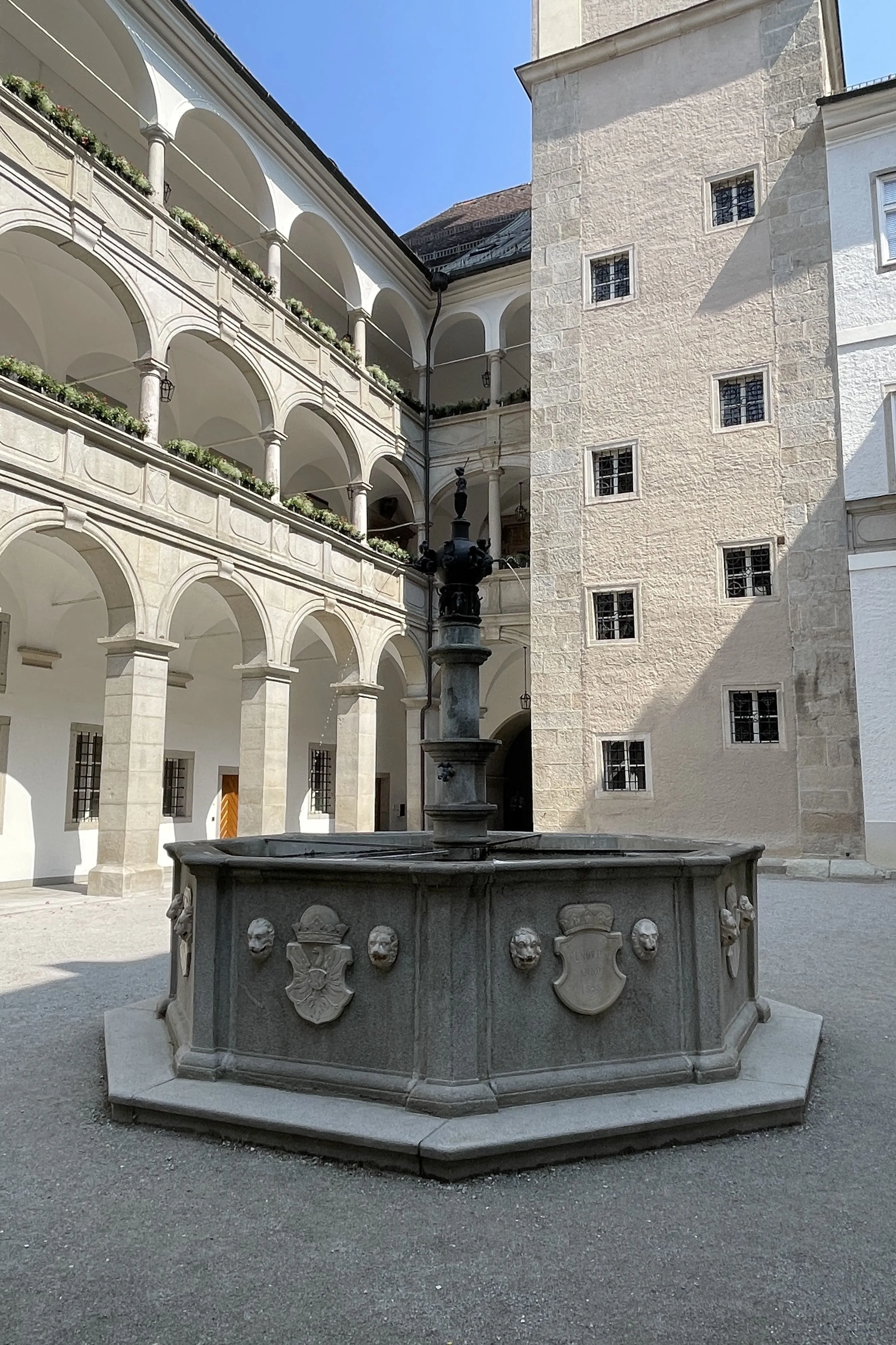 IMG_7408.jpeg