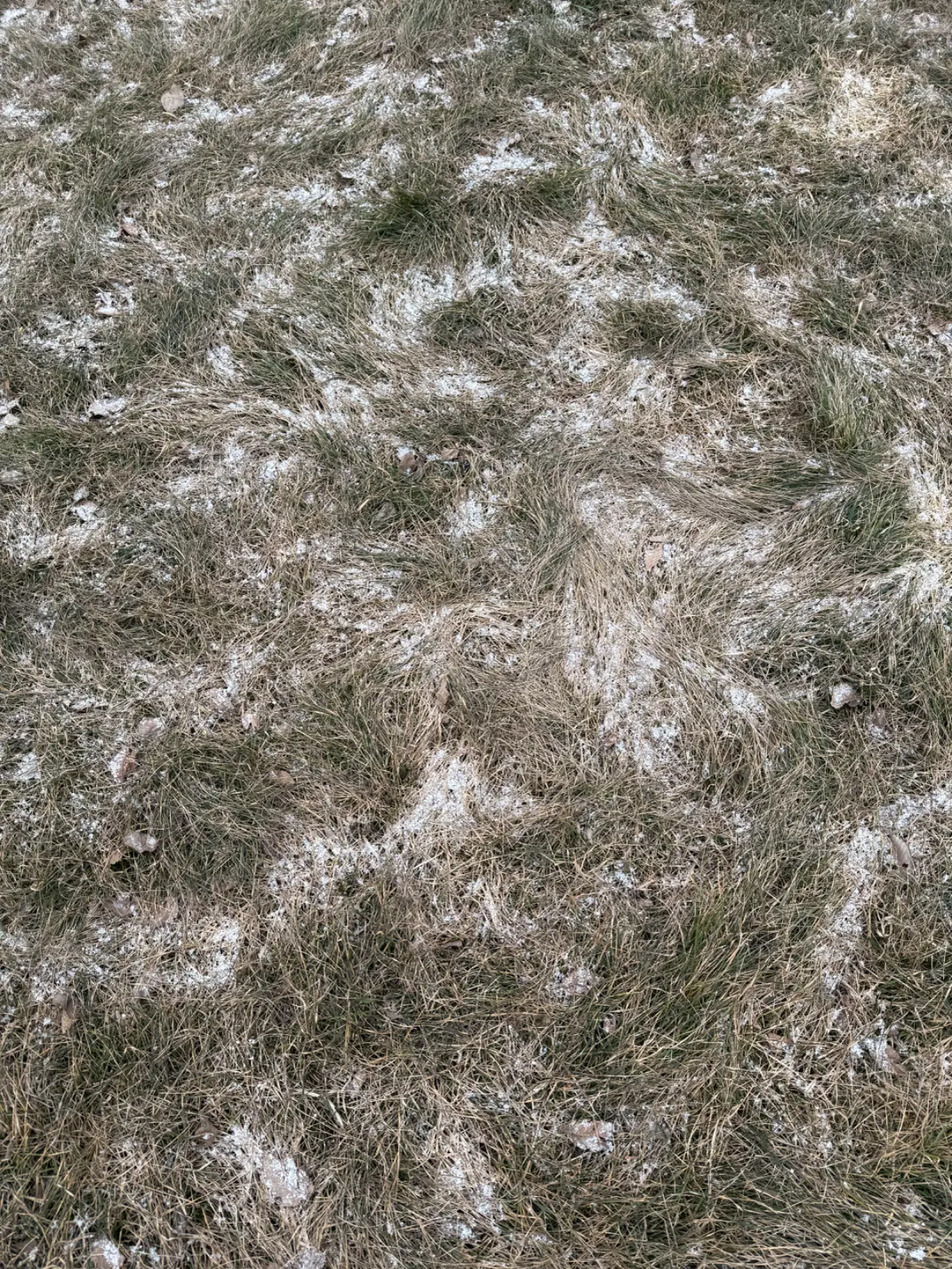 IMG_8867.webp
