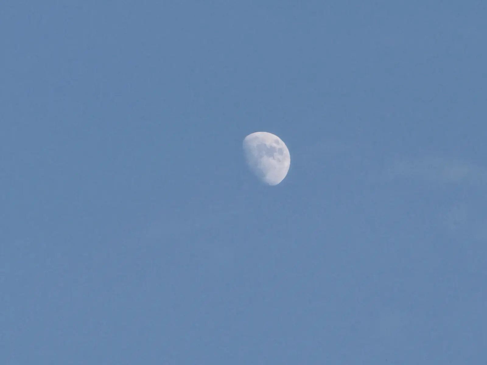 IMG_9427.webp