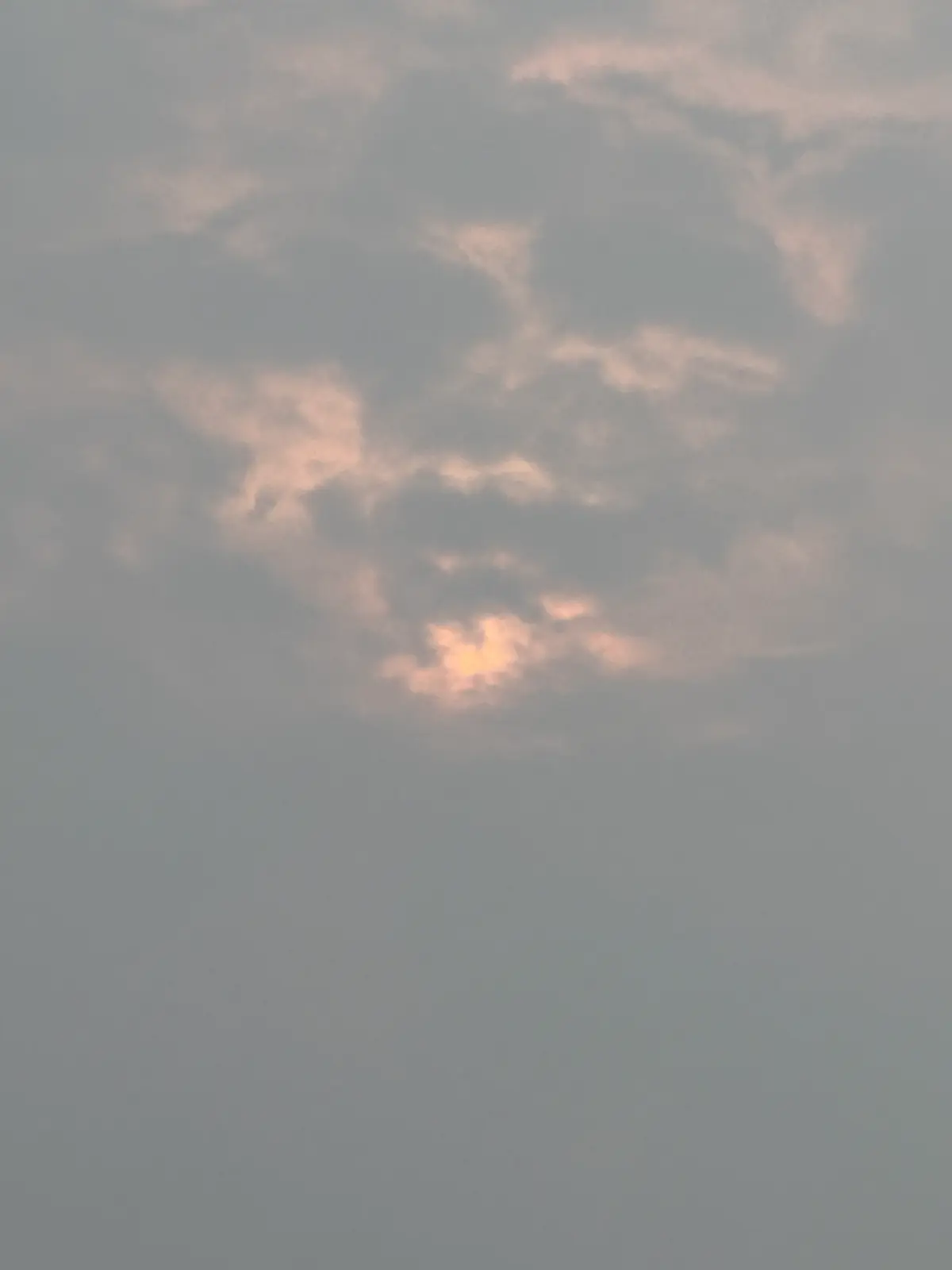 IMG_9839.webp
