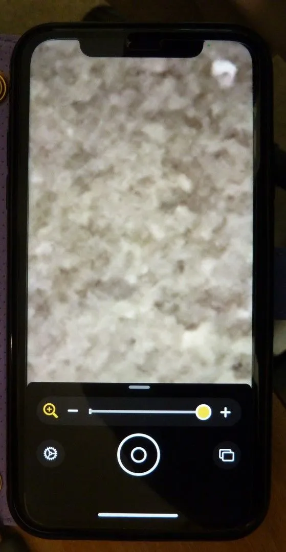 Magnifier  (1).jpeg