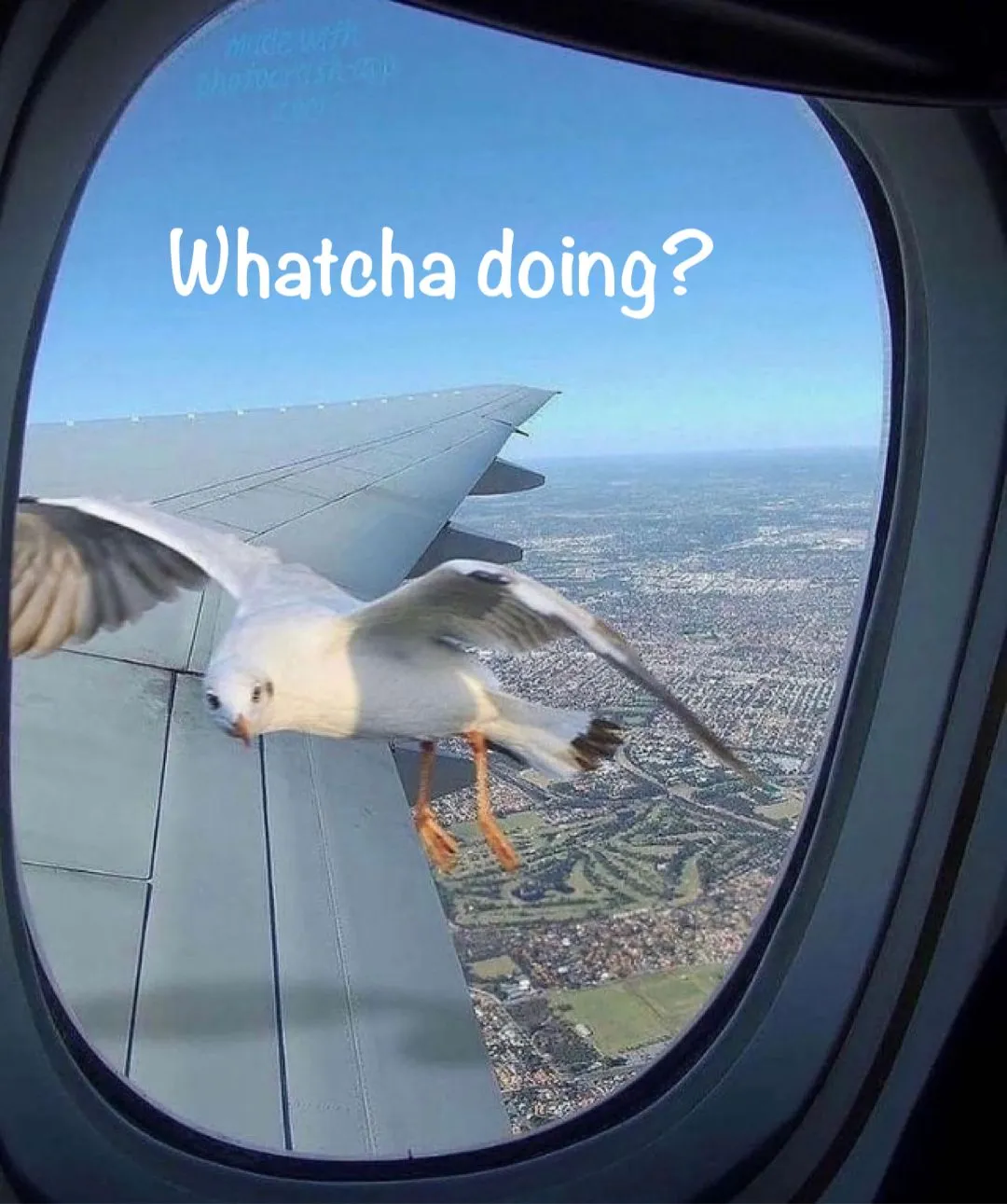 phonto.jpg