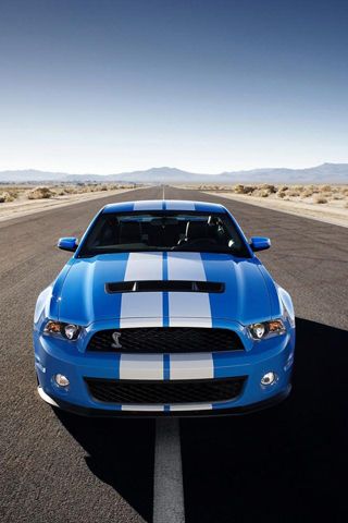 Shelby Ford Mustang GT500 2011