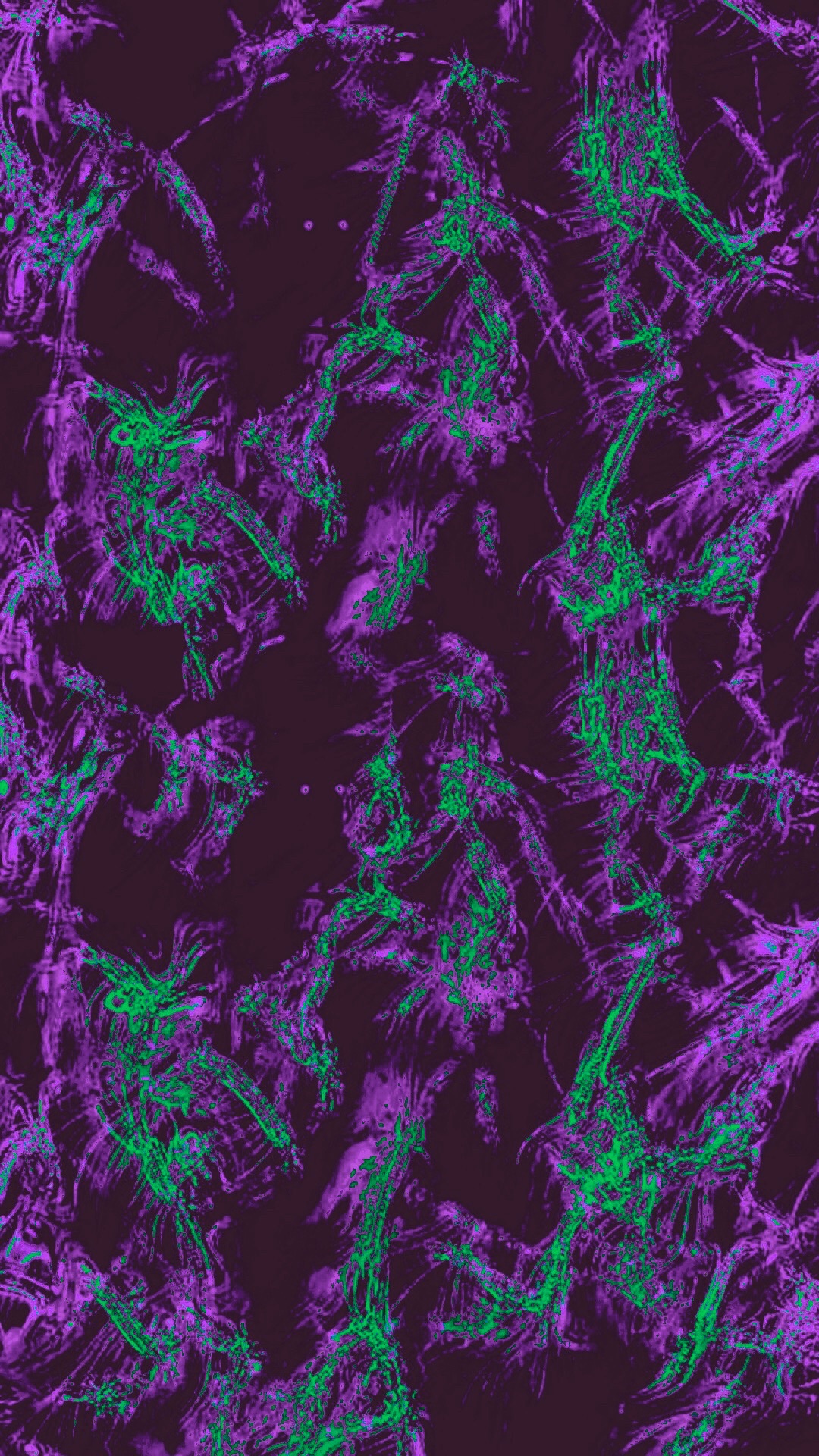 640eb386224957d110b8c6b5e49b1966.jpg