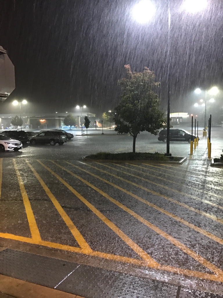 f662b68175853bf2791d9d2bb668c05d.jpg