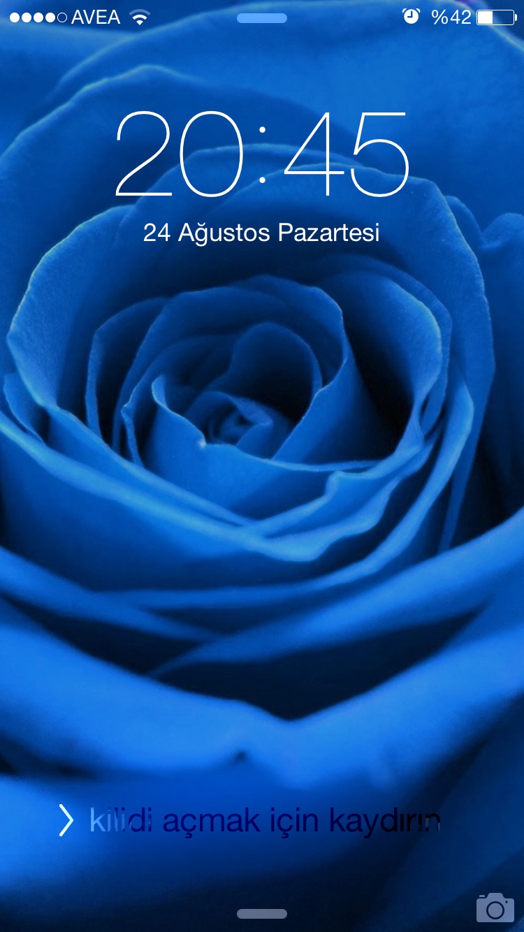 992d434eb6c43385275d3c43e02a13c8.jpg